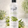 Elegant Coconut Milk Moisturizing Conditioner (480 ml) Order Elegant Olive Oil Moisturizing Conditioner For 1KD in Kuwait