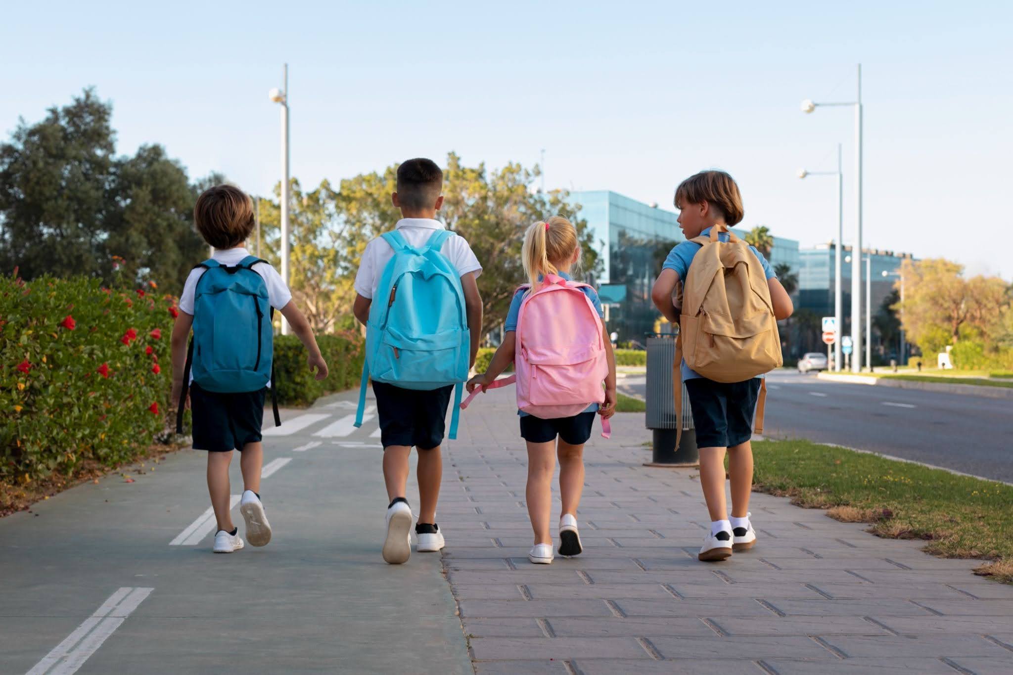 Best School Bags For Boys & Girls With Multiple Compartments